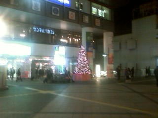 橋本　クリスマス