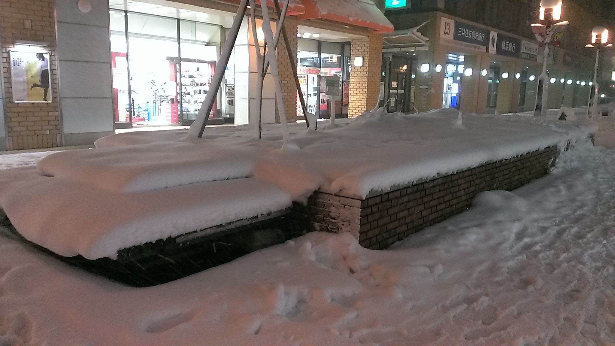多摩の大雪（2014年2月14日）