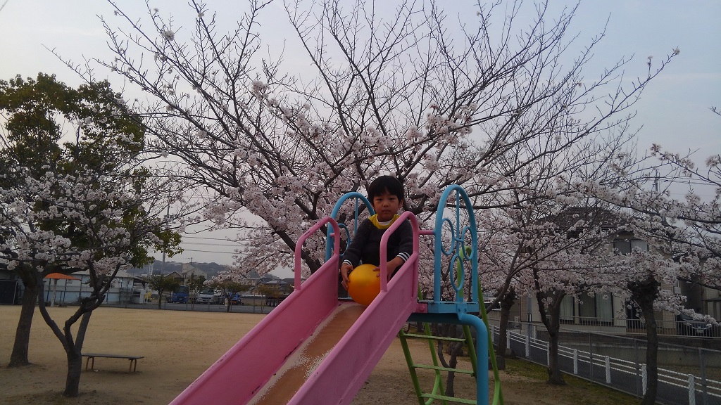 春先の吉岡公園